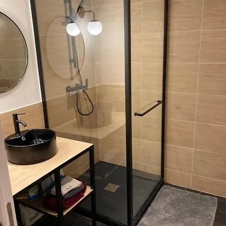 Apartamento 2 Pieces Cosy Annecy